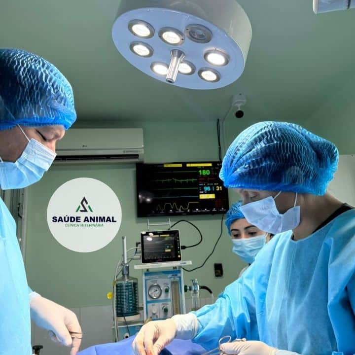 Clínica Veterinária Saúde Animal em Mococa SP